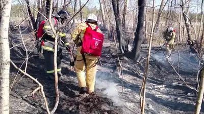 пожар, фото - Новости Zakon.kz от 28.04.2024 19:00
