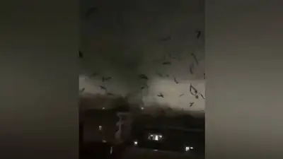 торнадо, фото - Новости Zakon.kz от 28.04.2024 14:58