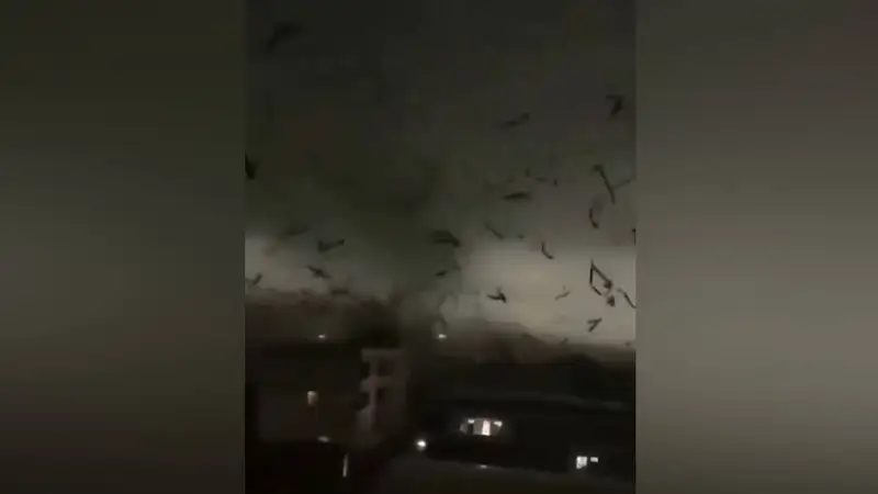 Торнадо убил по меньшей мере 5 человек в Китае