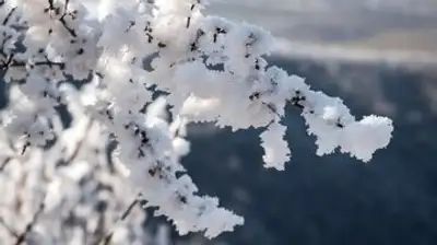 Какие метеоусловия обещают казахстанское синоптики 1 мая, фото - Новости Zakon.kz от 01.05.2024 02:19