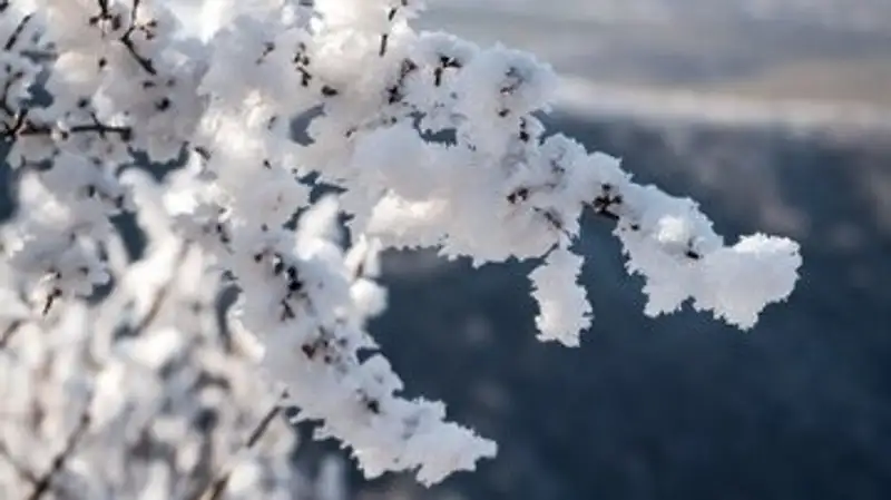 Какие метеоусловия обещают казахстанские синоптики 1 мая