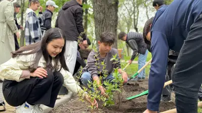 Свыше 8,2 тысячи зеленых насаждений высадили в рамках акции &quot;Алматы – город-сад&quot;, фото - Новости Zakon.kz от 30.04.2024 15:08