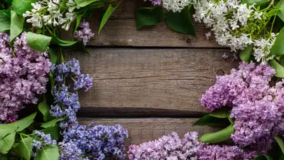 От заморозков до жары: каким будет май в Казахстане, фото - Новости Zakon.kz от 30.04.2024 18:24