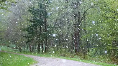 штормовое предупреждение, фото - Новости Zakon.kz от 30.04.2024 21:07