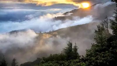 Какой будет погода 1 мая в Астане, Алматы и Шымкенте, фото - Новости Zakon.kz от 30.04.2024 15:55