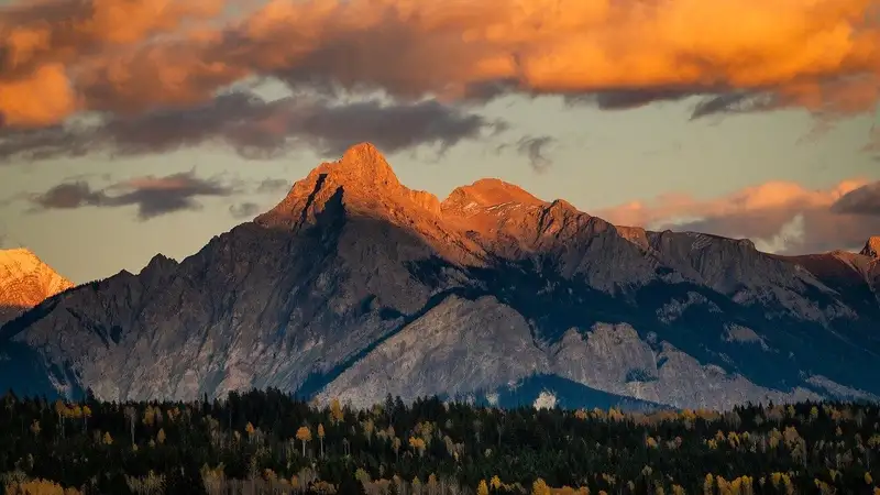 Трое туристов застряли на вершине горы в Туркестанской области