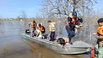 спасание, фото - Новости Zakon.kz от 01.05.2024 17:44