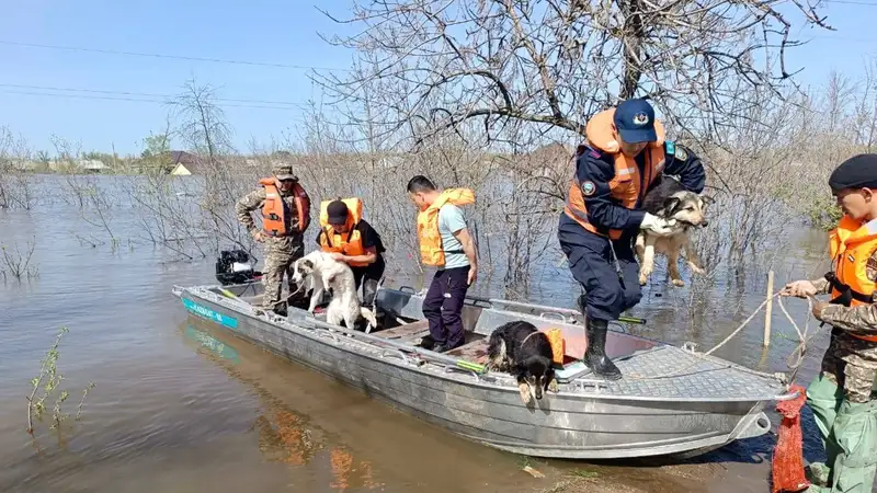 Около трех тысяч североказахстанцев получили единовременные выплаты