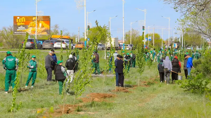 В рамках акции "Таза Қазақстан", прошедшей 1 мая в Актобе, посадили саженцы и убрали в парках