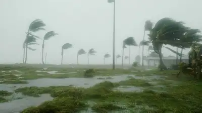 Ураган в Эмиратах: апокалипсис