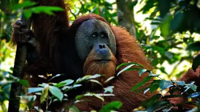 исследование, фото - Новости Zakon.kz от 03.05.2024 00:42