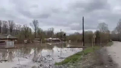 паводки, фото - Новости Zakon.kz от 02.05.2024 19:56