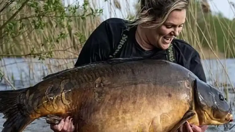 Женщина поймала зеркального карпа весом более 32 кг
