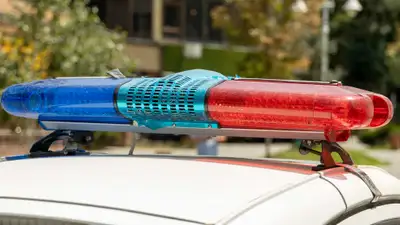 Школьница забеременела от отца – комментарий полиции Туркестанской области, фото - Новости Zakon.kz от 03.05.2024 14:46