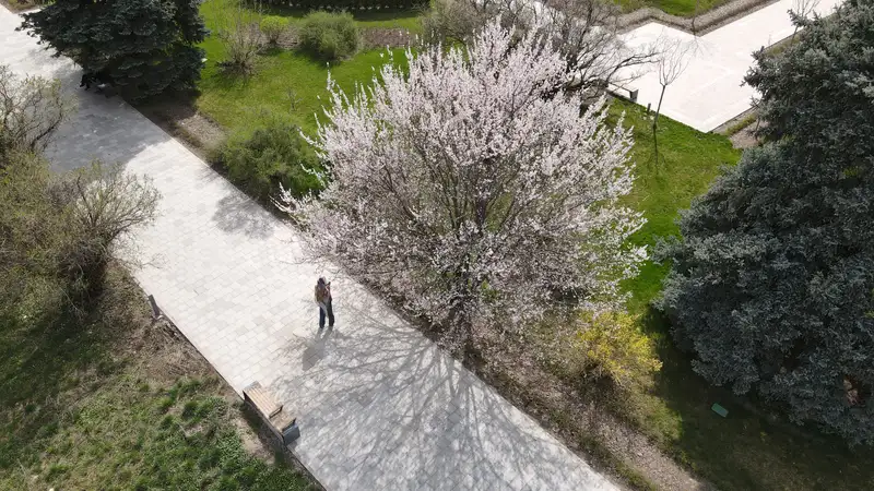 Ботанический сад Алматы выступил с важным объявлением