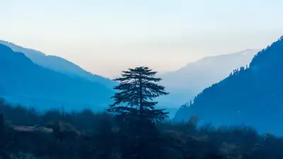 На Казахстан надвигается арктическая прохлада, фото - Новости Zakon.kz от 03.05.2024 15:41