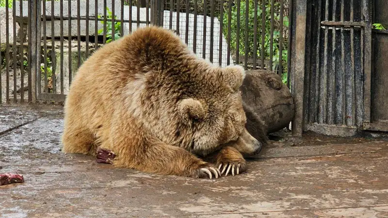 Зоопарк, фото - Новости Zakon.kz от 08.05.2024 11:00