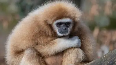 Зоопарк, фото - Новости Zakon.kz от 04.05.2024 06:20