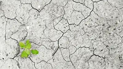 Жаркий май: в каких регионах Казахстана ожидается засуха, фото - Новости Zakon.kz от 04.05.2024 13:07