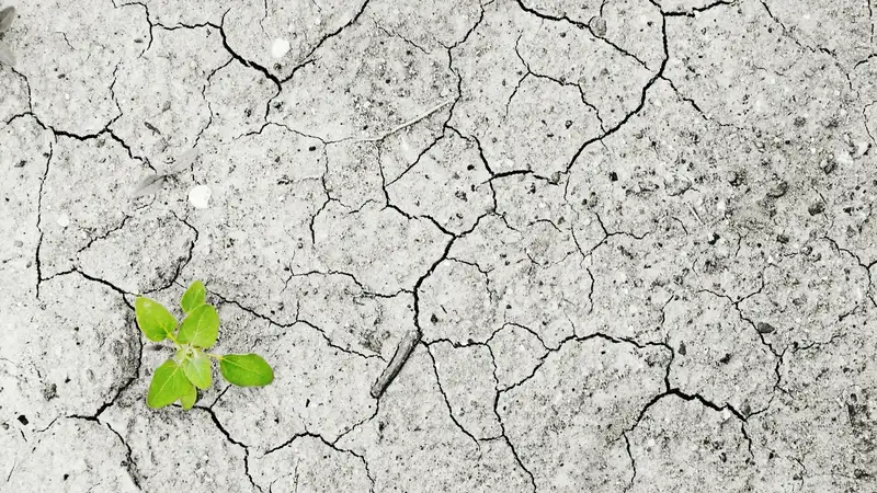 В каких регионах Казахстана ожидается засуха в мае