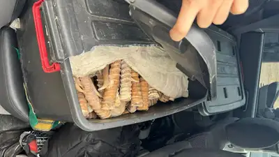 Судьба конфиската, фото - Новости Zakon.kz от 04.05.2024 17:09