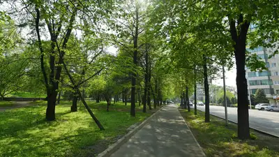 Алматинцы возмущены затянувшейся реконструкцией сквера, фото - Новости Zakon.kz от 04.05.2024 09:21