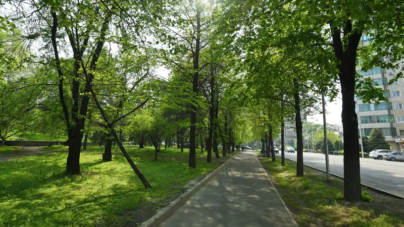 Алматинцы возмущены затянувшейся реконструкцией сквера