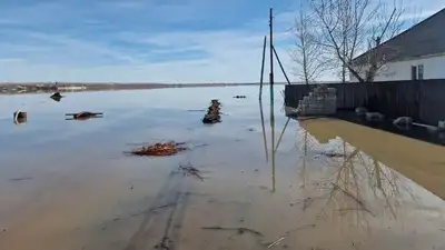 советы врачей, фото - Новости Zakon.kz от 04.05.2024 18:44