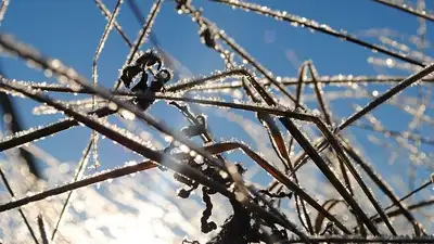 штормовое предупреждение, фото - Новости Zakon.kz от 05.05.2024 19:02