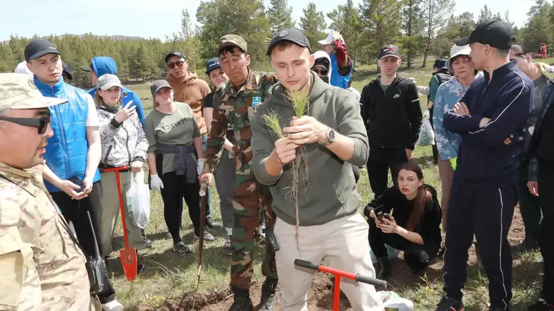 В ВКО вместе с волонтерами посадят 29 млн саженцев