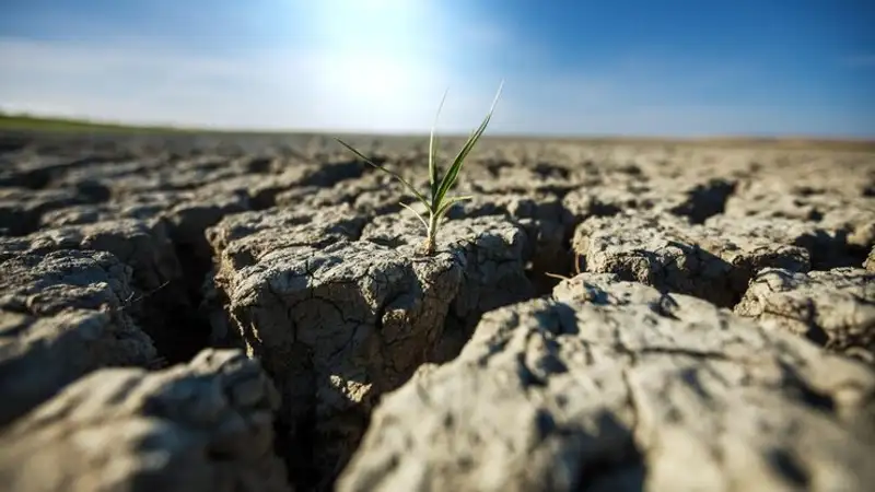 В каких районах возможна засуха в мае, рассказали синоптики