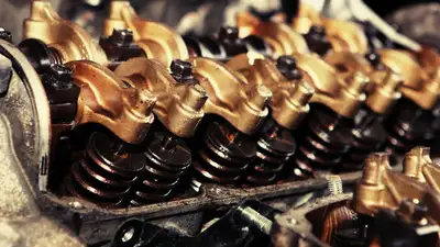 Различные виды масел включили в перечень для изъятия из национального режима, фото - Новости Zakon.kz от 06.05.2024 09:27