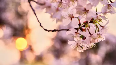 Долгожданное тепло придет в Казахстан, фото - Новости Zakon.kz от 06.05.2024 12:09