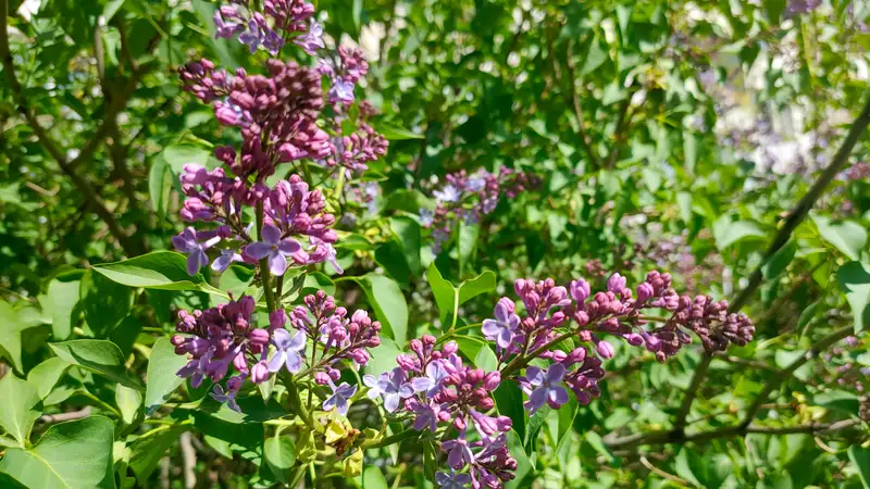 Погоду на 7-9 мая в Астане, Алматы и Шымкенте спрогнозировал "Казгидромет"