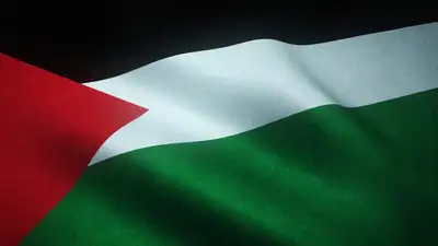 флаг Палестины, фото - Новости Zakon.kz от 07.05.2024 16:02