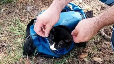 Наркотики, фото - Новости Zakon.kz от 08.05.2024 04:41