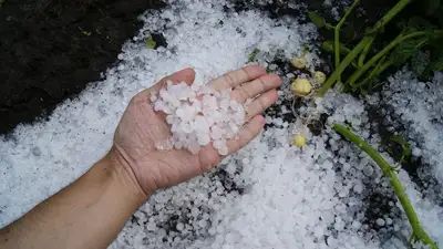 Шквал, град и пыльная буря: какая погода ждет казахстанцев 9 мая , фото - Новости Zakon.kz от 08.05.2024 23:06