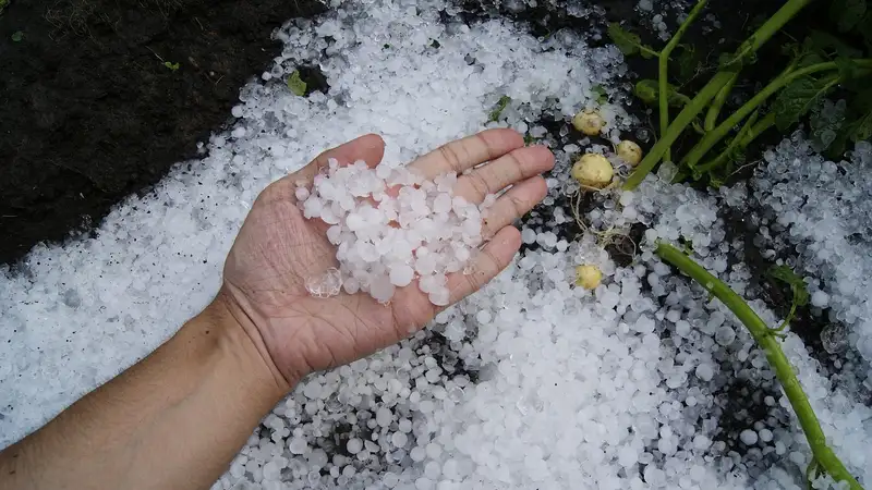 Шквал, град и пыльная буря: какая погода ждет казахстанцев 9 мая