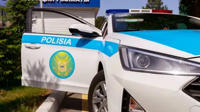 полицейская погоня за быком попала на видео в Астане