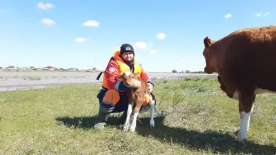 помощь спасателей, фото - Новости Zakon.kz от 09.05.2024 21:43