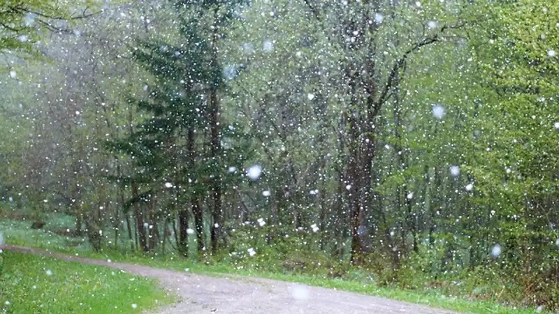 Заморозки, град, гроза и шквал ожидаются в Астане и 13 областях страны