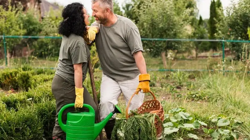Во время магнитных бурь дачникам посоветовали снизить темп работ