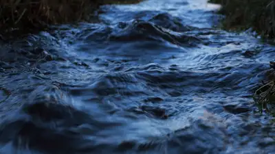 Синоптики: в Алматинской области одна из рек может выйти из берегов и затопить дома