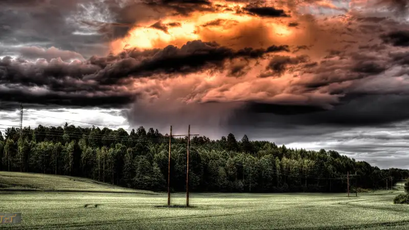 Дожди, грозы и жара надвигаются на Казахстан