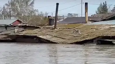 14 затопленных домов осталось в Кульсары, фото - Новости Zakon.kz от 11.05.2024 14:27