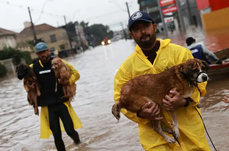 Число жертв от наводнения в Бразилии выросло до 113 человек, фото - Новости Zakon.kz от 11.05.2024 10:02