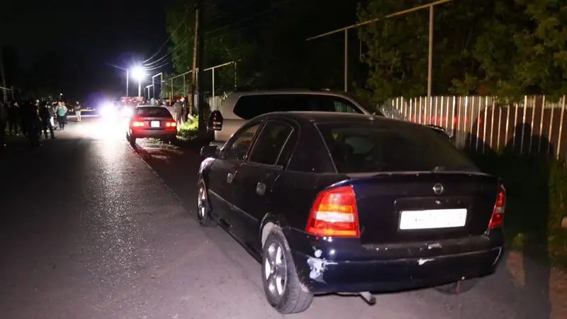 Маленького ребенка сбили насмерть в Алматинской области