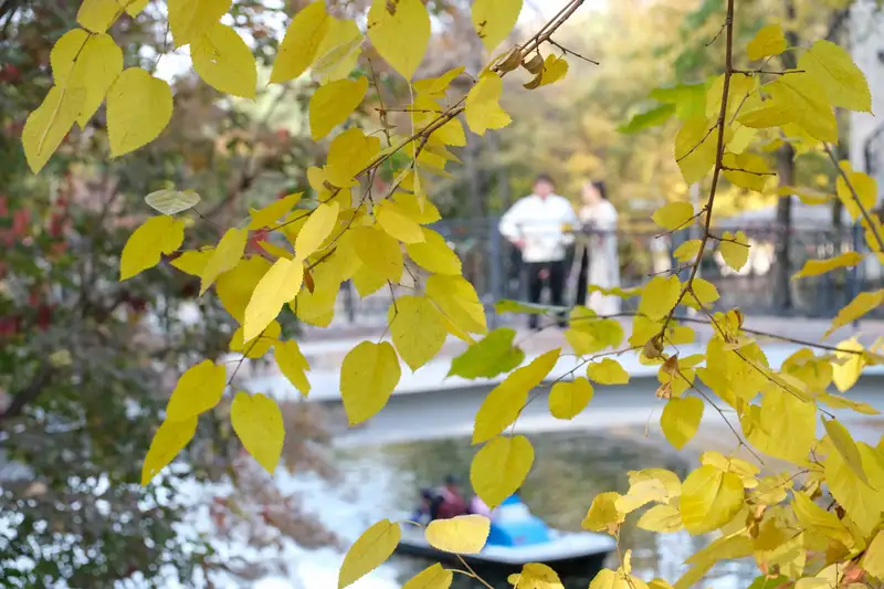 Опубликован трехдневный прогноз погоды по Астане, Алматы и Шымкенту