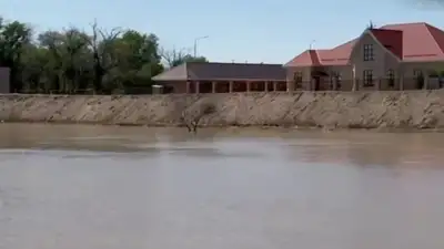 , фото - Новости Zakon.kz от 12.05.2024 11:11