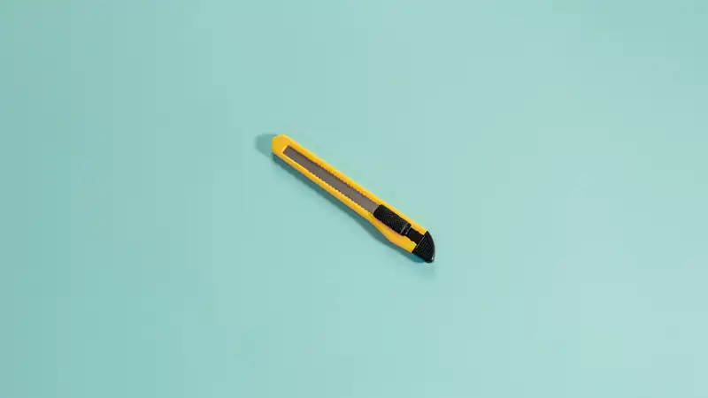 Пытавшегося перерезать девушке шею канцелярским ножом осудили в Талдыкоргане